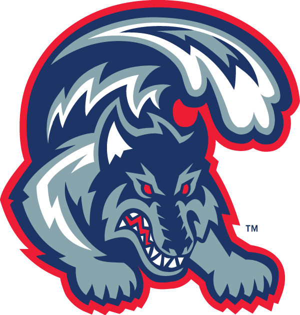 Stony Brook Seawolves 1998-2007 Alternate Logo iron on transfers for T-shirts